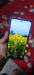 Walton nexg n10ultra